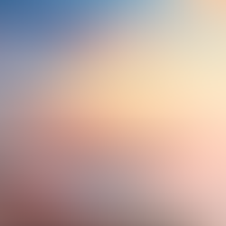 The Numerology Forecast - August 2020