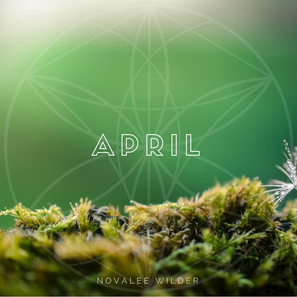The Numerology Forecast - April 2019