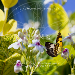 The Numerology Forecast - June 2019