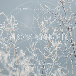 The Numerology Forecast - November 2020