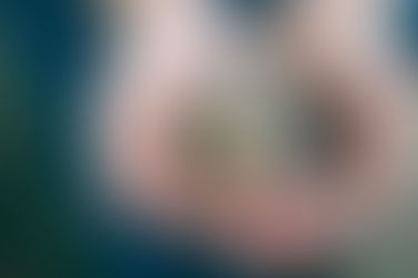 Fear - how to get beyond it