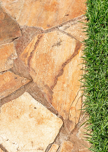 caco amarela mesclada 03.jpg