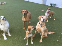 Play Day is fun!!!!