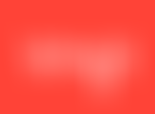 WSP Placement Student in the Planning Information Management Team