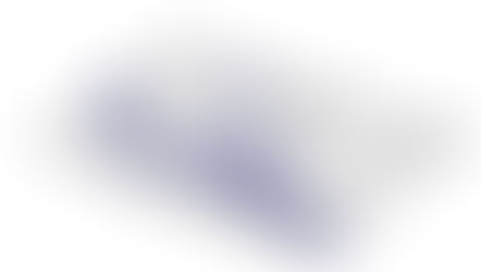 2 x 6 month GIS posts, AFBI