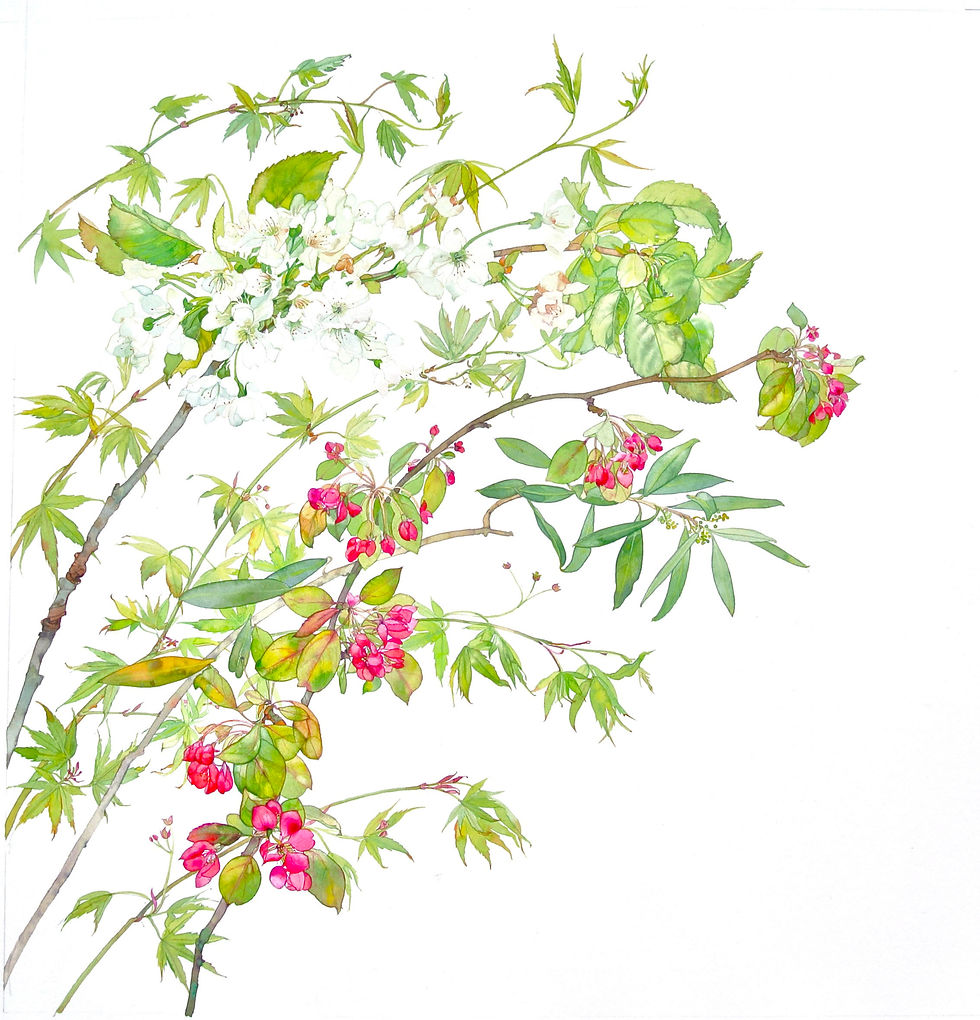 Spring Blossom