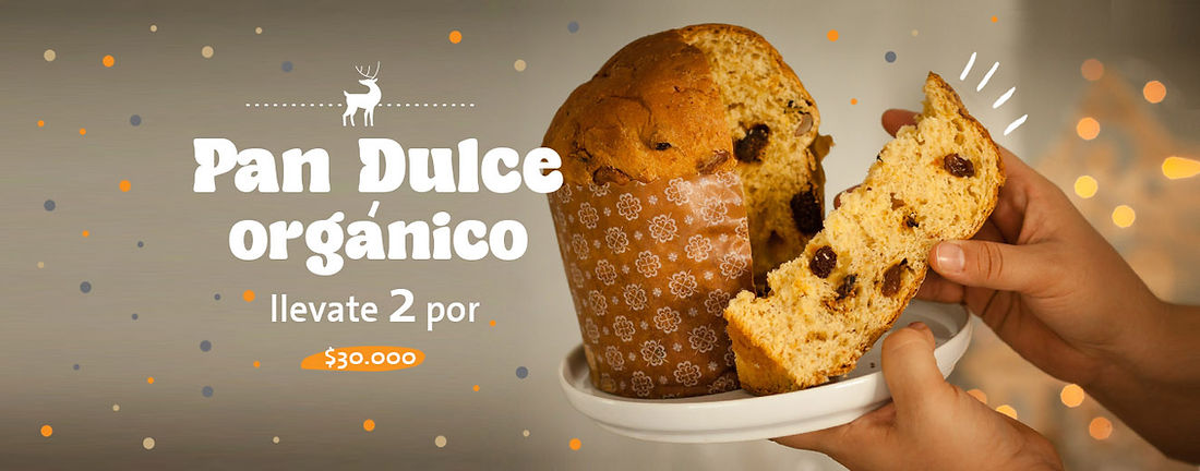 BANNER PAN DULCE.jpg