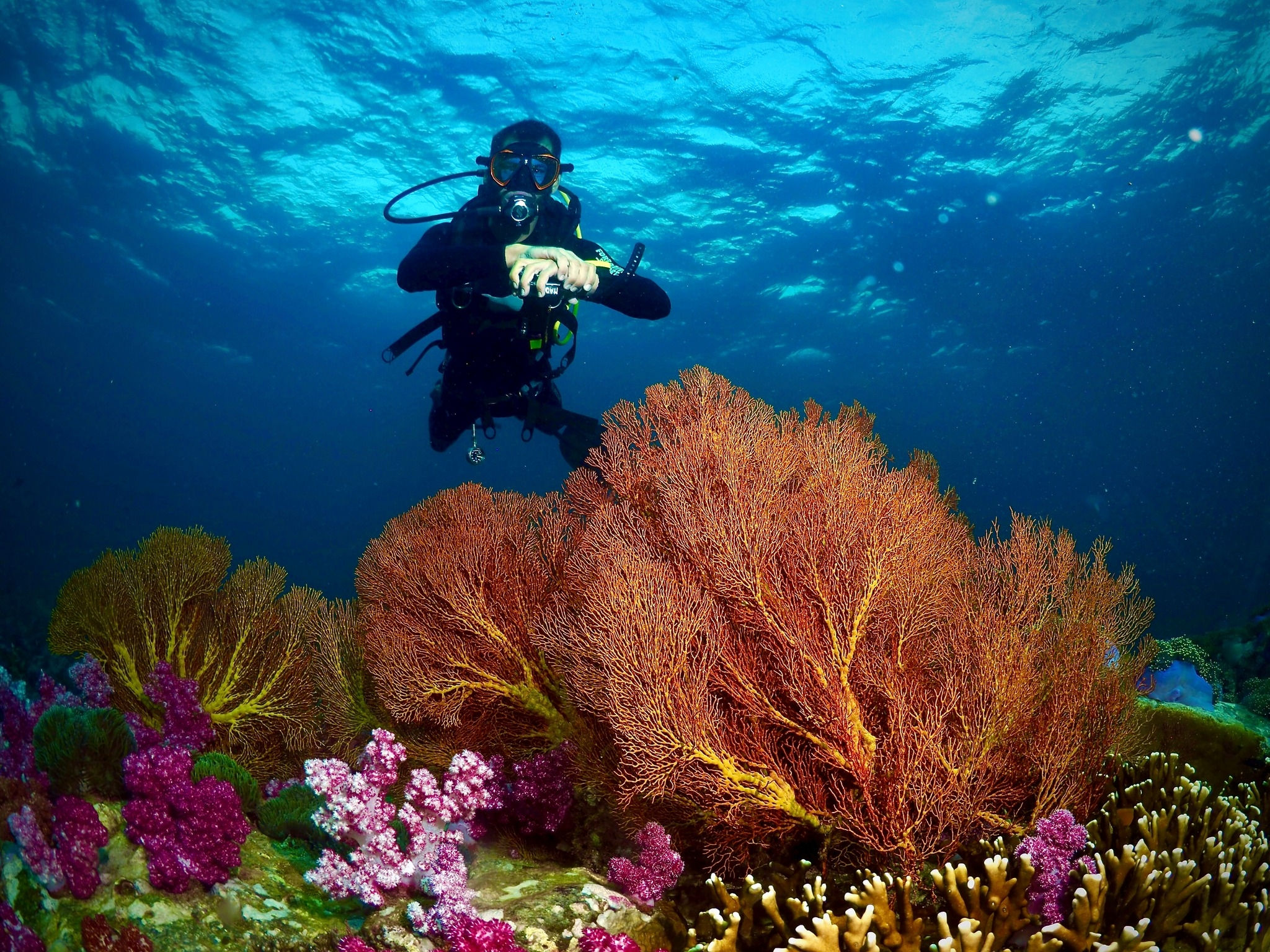 2 TAGE / 1 NACHT (6 TAUCHGÄNGE)