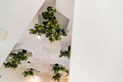 WEB Ground Floor Corner Lakeside Drive and Boas Avenue, Joondalup Shoot 01 04