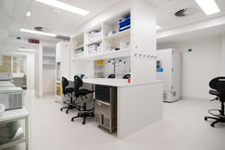 WEB Ground Floor Corner Lakeside Drive and Boas Avenue, Joondalup Shoot 02 48