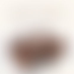 高麗參咖啡紅棗糕