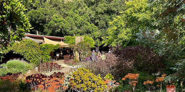 art, art work, art studio in Ojai, art studio near me, art show, art shows, artists in Ojai, art in California