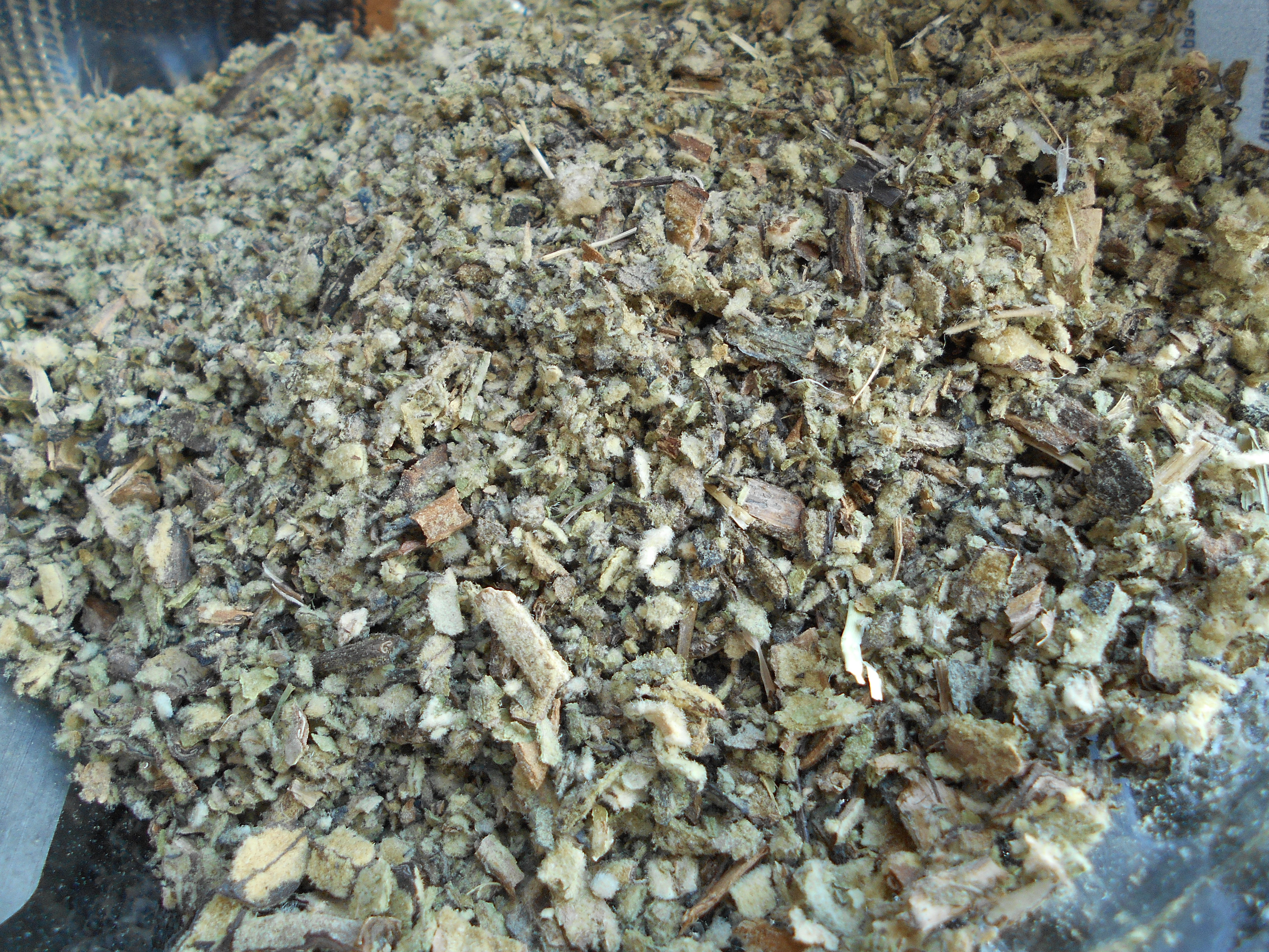 615-Bulk Mullein Leaf, 1 lb.
