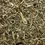 Thumbnail: 656 Bulk Horsetail Herb