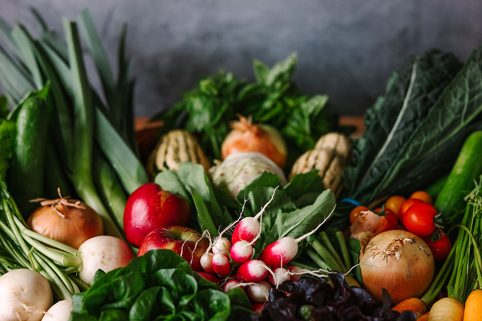 Della Terra 2022 Fall Snohomish Joanna Monger Photography-73_websize.jpg