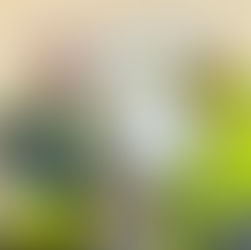 January 2026 'Doing it Right' Award🌟