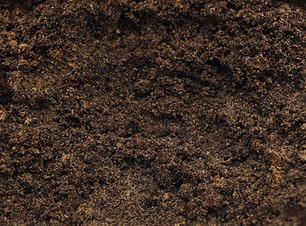 Garden Soil