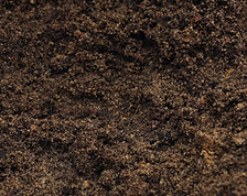 Garden Soil