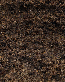 Garden Soil