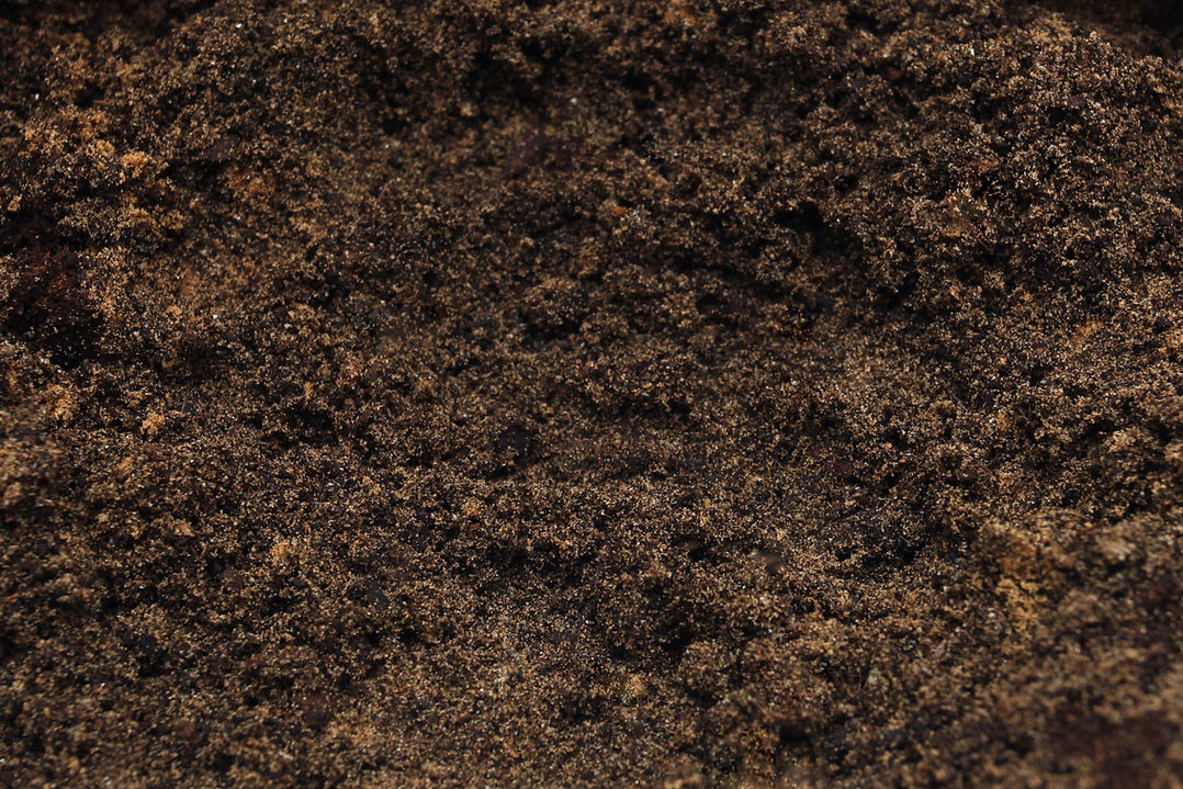 Close-Up of Soil
