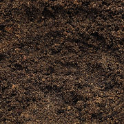 Garden Soil