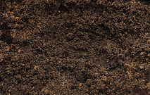 Garden Soil