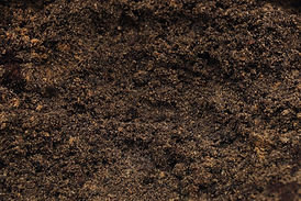 Garden Soil