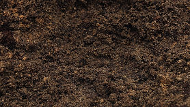 Garden Soil