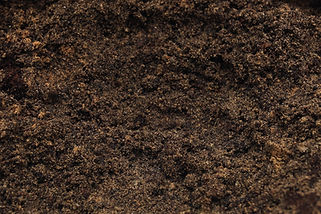 Close-Up of Soil