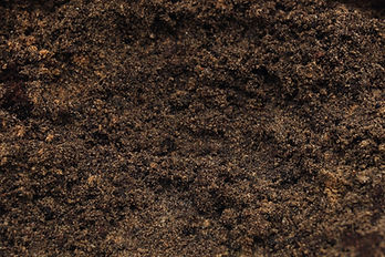 Close-Up of Soil