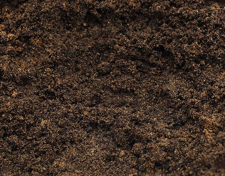 Garden Soil