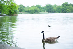 Corporate photography