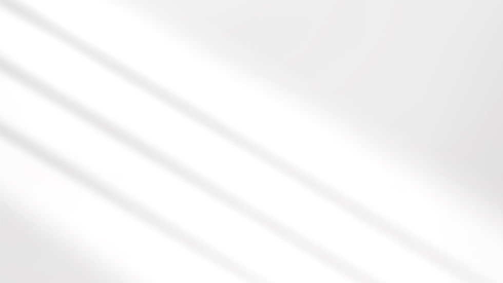 La Vista Brand Guide (2)_edited.jpg
