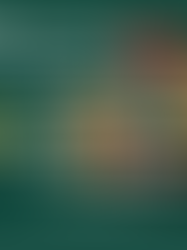 Thursday's Early Black Friday Deals!!