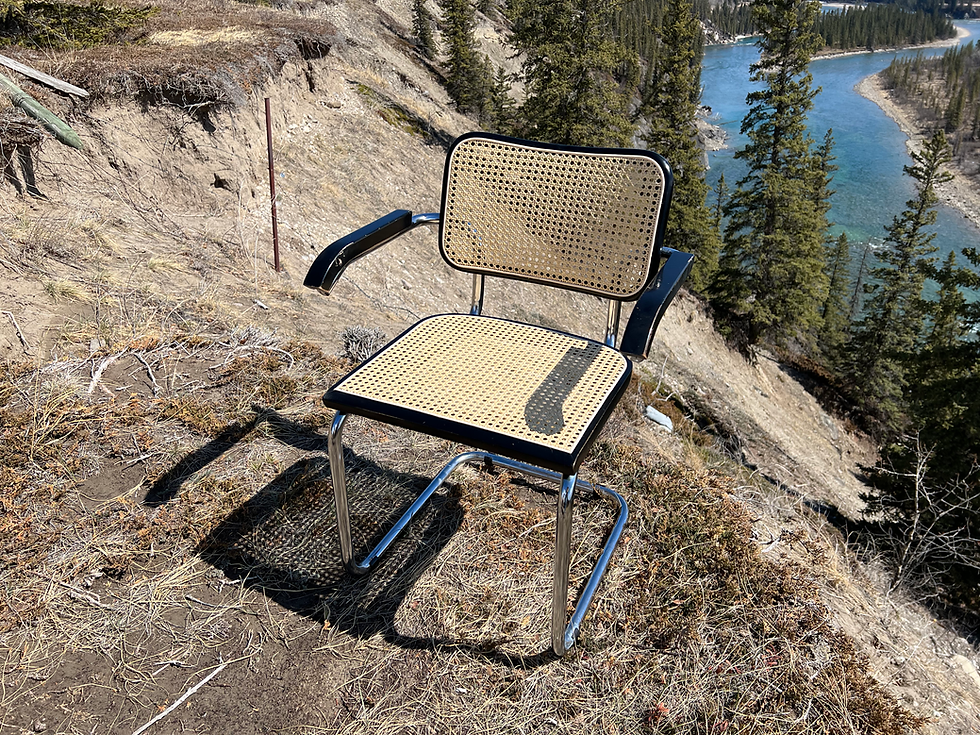 A black Cesca armchair with a newly restored cane seat and backrest, set against a scenic Alberta backdrop.