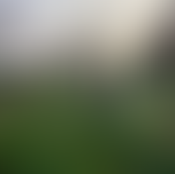 Hagen planten voor een landbouw en landschap die regeneratief, agro-ecologisch én natuurinclusief is