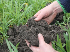 Kairos is partner in de PPS Beter Bodembeheer, integraal en naar de praktijk!