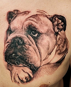 Black and grey realism bulldog portrait tattoo done in toronto by jessica jane tattoos