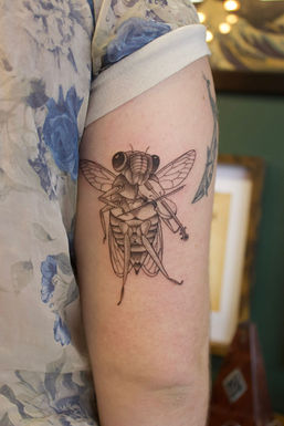 fine line tattoo of cicada playing violin Emsky ink done in toronto stigmata tattoos
