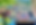 IMG_4458_edited_edited.png