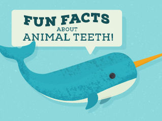 Fun Facts About Animal Teeth!