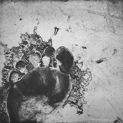 impronta di un ricordo