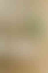 Eversholt Hall Wedding Décor