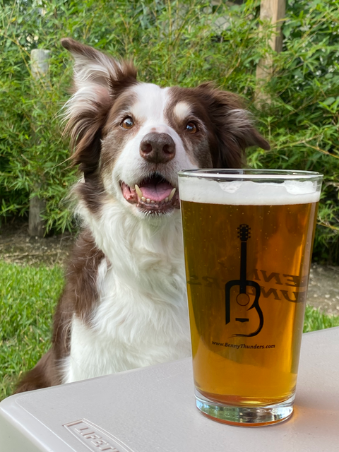 Benny Thunders is dog friendly