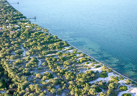 The Developer's Dream Aerial