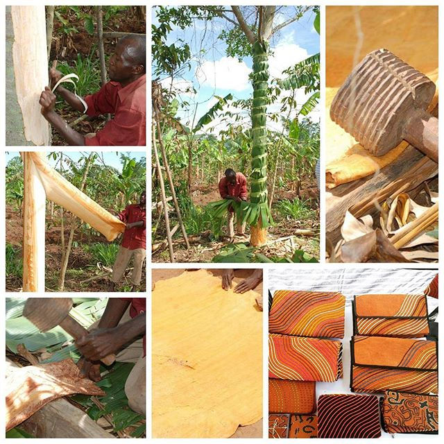 BARK CLOTH MAKING A master piece an astounding tale.