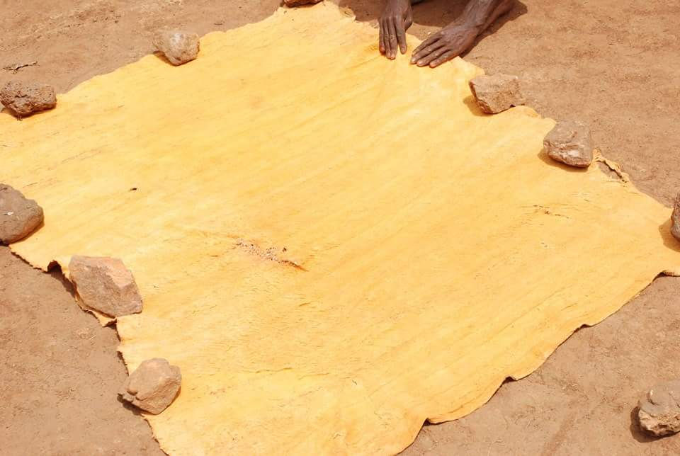 Bark is put in sun to dry