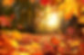 The 5 Simple Health Habits To “Fall” Into