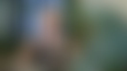 Find Focus, Clarity, and Inner Freedom in 5 Minutes a Day with This 15-Day Meditation Album