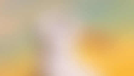 Breaking Free From Perceptions